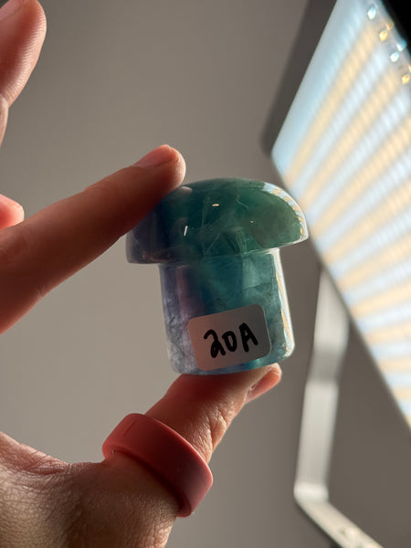 Fluorite Mushrooms - you pick