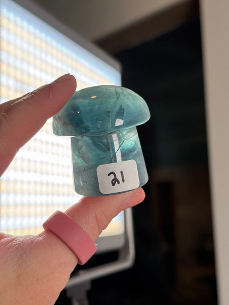 Fluorite Mushrooms - you pick
