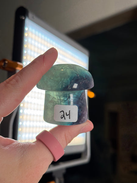 Fluorite Mushrooms - you pick