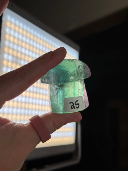 Fluorite Mushrooms - you pick