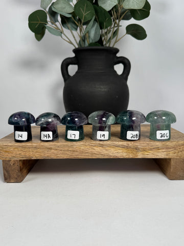 Fluorite Mushrooms - you pick