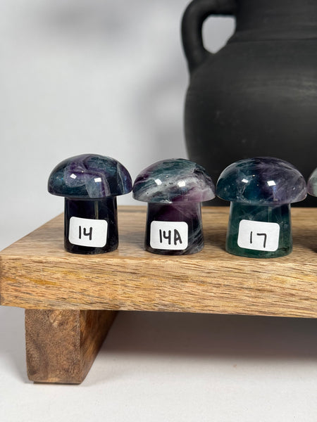 Fluorite Mushrooms - you pick