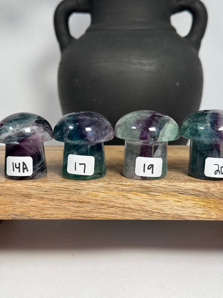 Fluorite Mushrooms - you pick