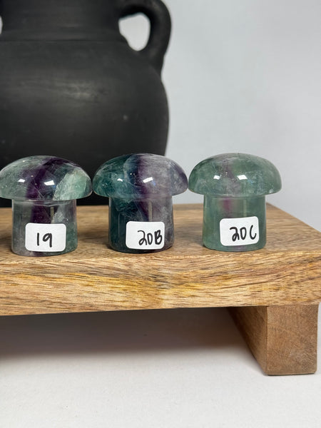 Fluorite Mushrooms - you pick