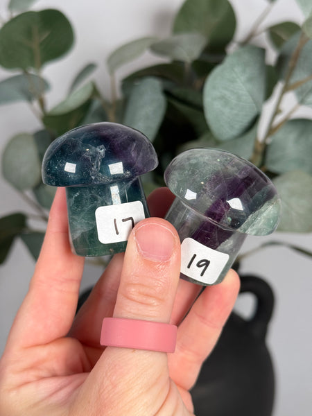Fluorite Mushrooms - you pick
