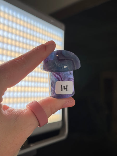 Fluorite Mushrooms - you pick