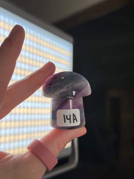 Fluorite Mushrooms - you pick