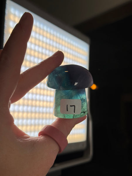 Fluorite Mushrooms - you pick