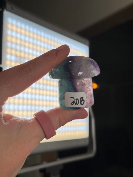 Fluorite Mushrooms - you pick