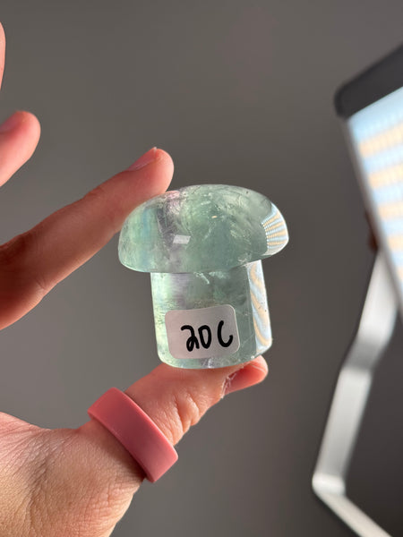 Fluorite Mushrooms - you pick