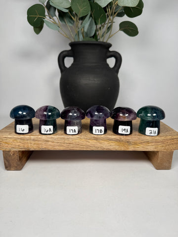 Fluorite Mushrooms - you pick