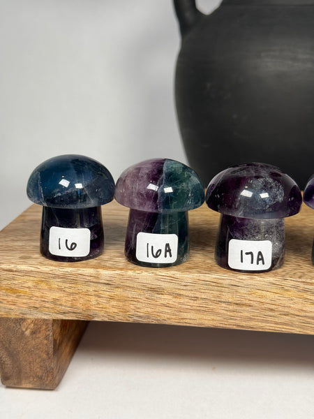 Fluorite Mushrooms - you pick