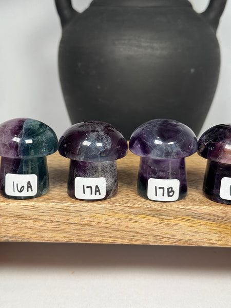 Fluorite Mushrooms - you pick