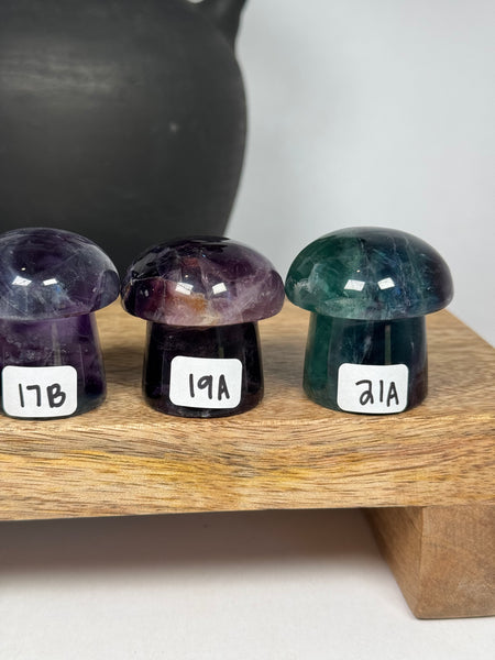 Fluorite Mushrooms - you pick