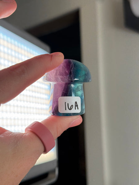 Fluorite Mushrooms - you pick