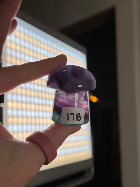 Fluorite Mushrooms - you pick