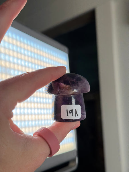 Fluorite Mushrooms - you pick
