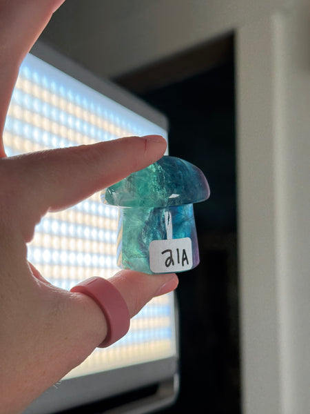 Fluorite Mushrooms - you pick