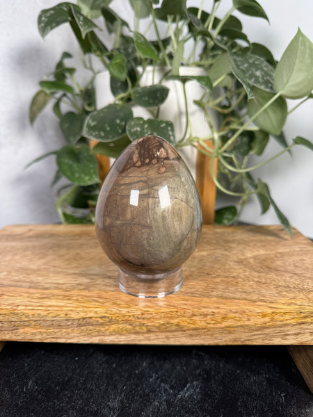 Polychrome Jasper Egg