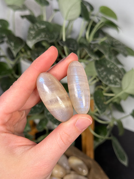 Moonstone Shivas - you pick size