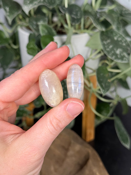 Moonstone Shivas - you pick size