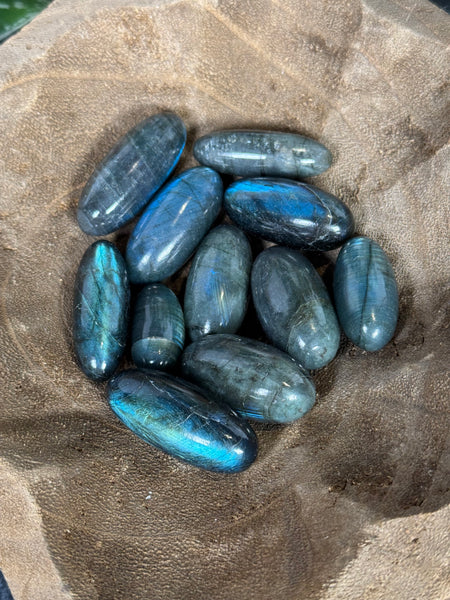 Labradorite Shivas