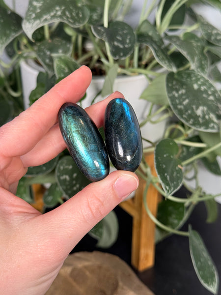 Labradorite Shivas