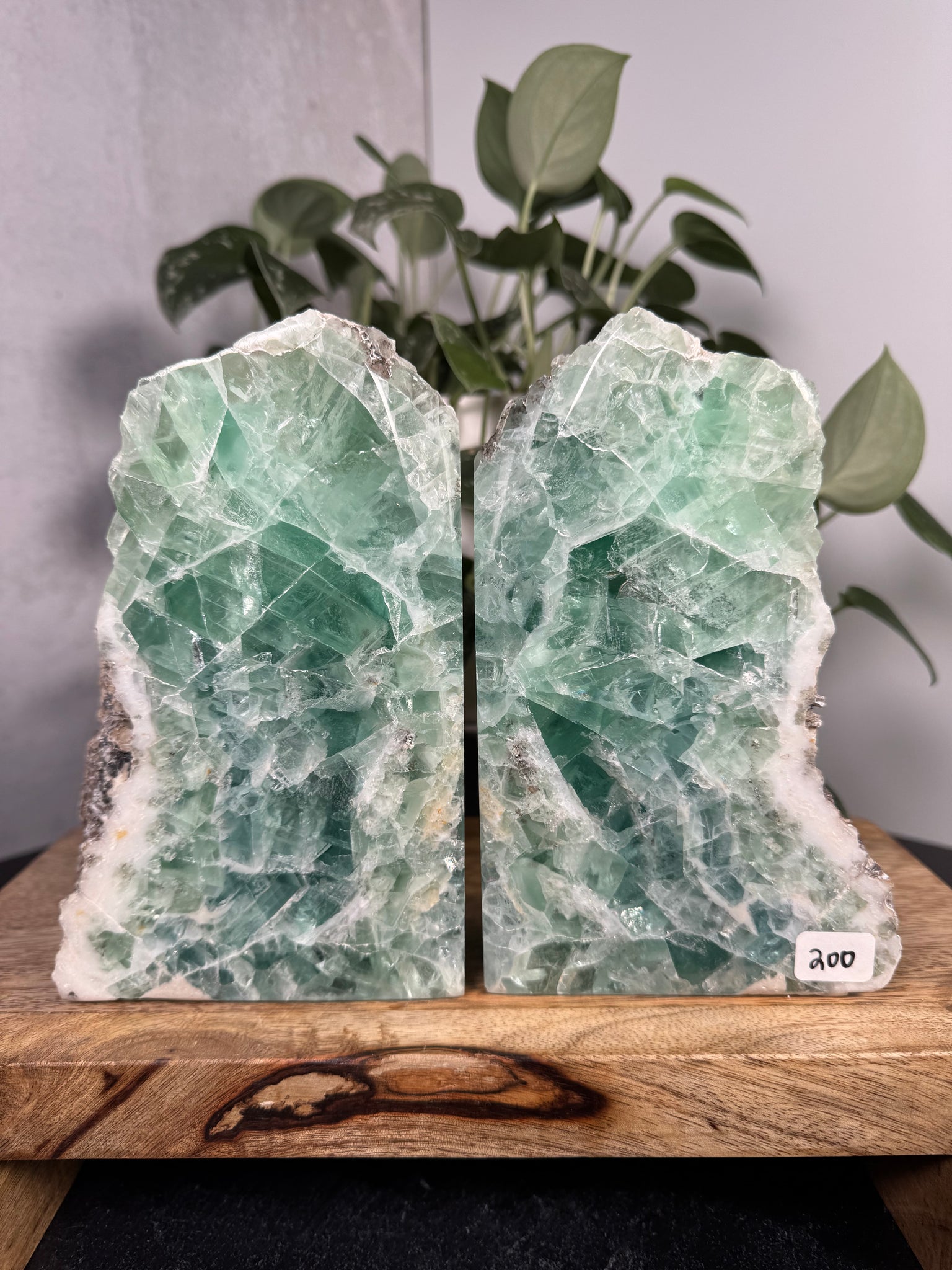 Fluorite Bookends - 200