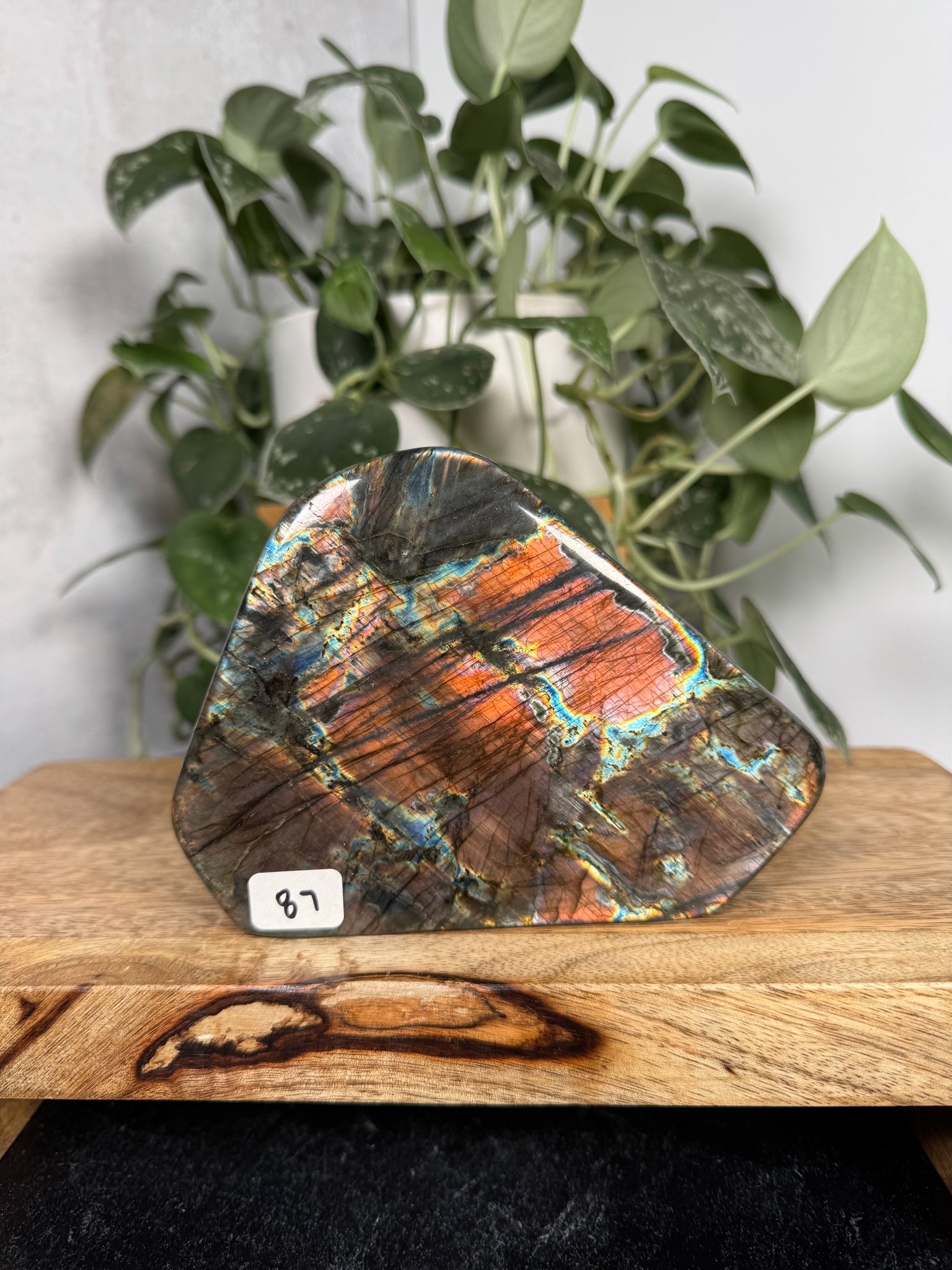 Labradorite FF - 87