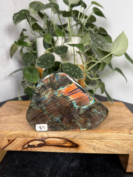 Labradorite FF - 87