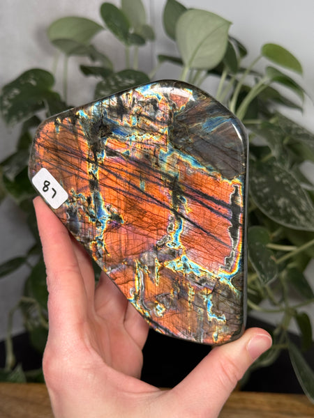 Labradorite FF - 87