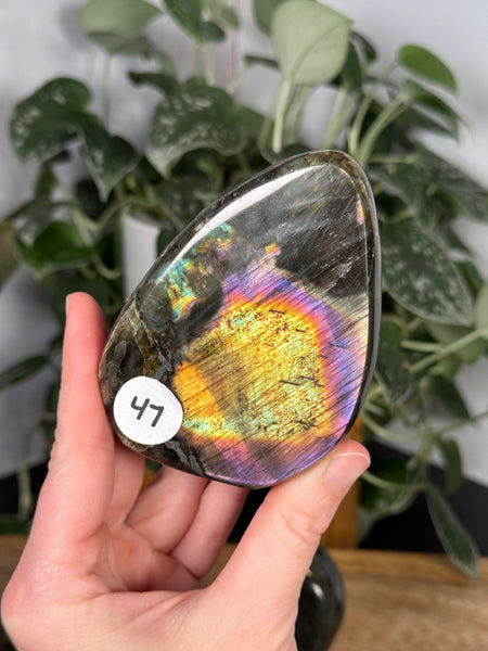 Labradorite FFs - you pick