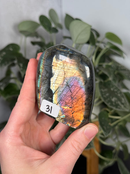 Labradorite FFs - you pick