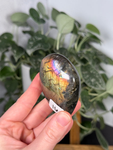 Labradorite FFs - you pick