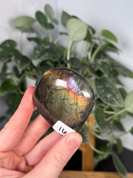 Labradorite FFs - you pick