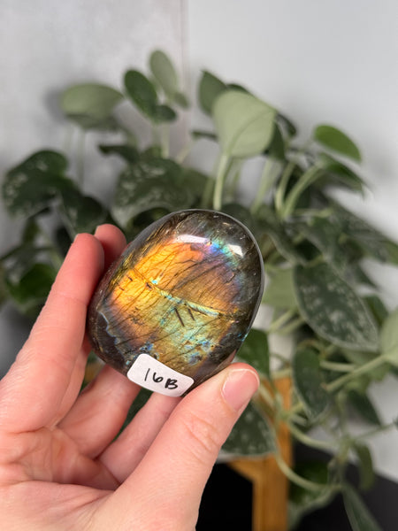 Labradorite FFs - you pick