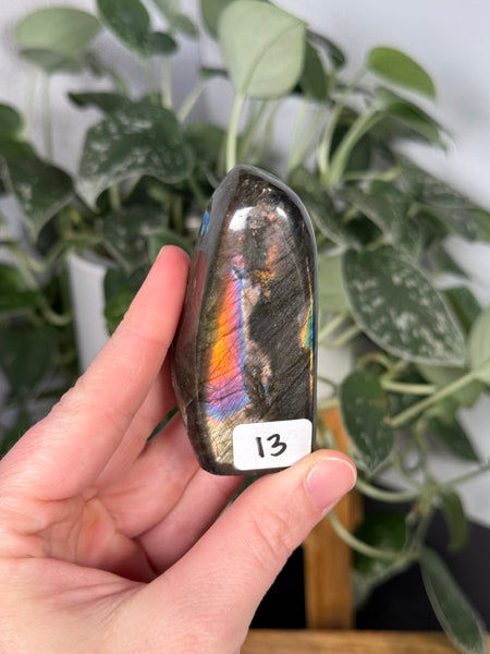 Labradorite FFs - you pick