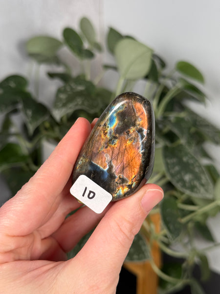 Labradorite FFs - you pick