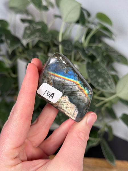 Labradorite FFs - you pick