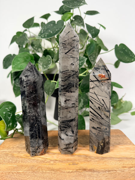 Black Tourmaline x Quartz Towers - you pick