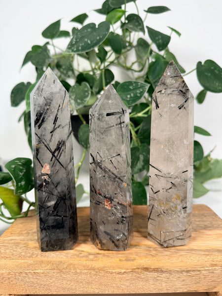 Black Tourmaline x Quartz Towers - you pick