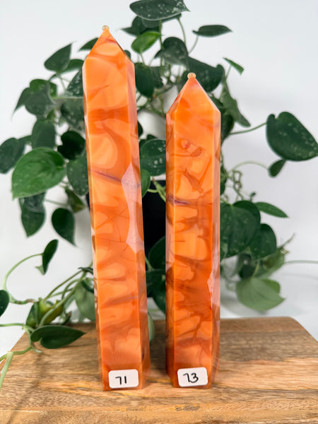 Carnelian Agate Towers - you pick