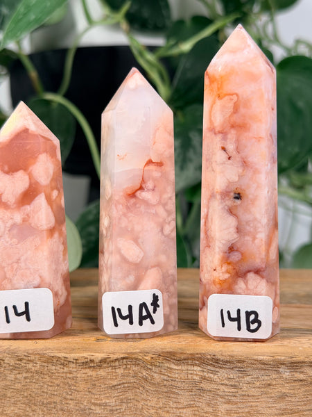 Carnelian x Flower Agate Towers - you pick