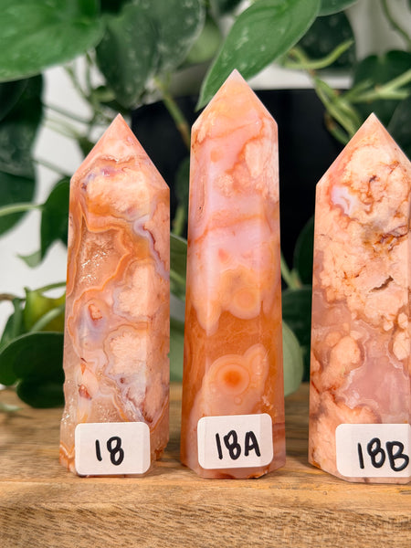 Carnelian x Flower Agate Towers - you pick