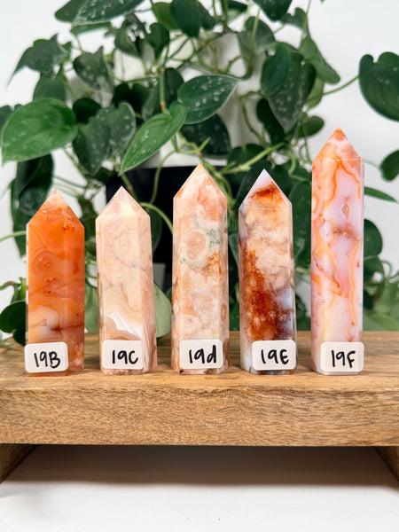 Carnelian x Flower Agate Towers - you pick