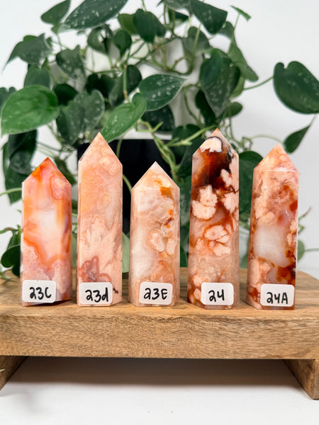 Carnelian x Flower Agate Towers - you pick
