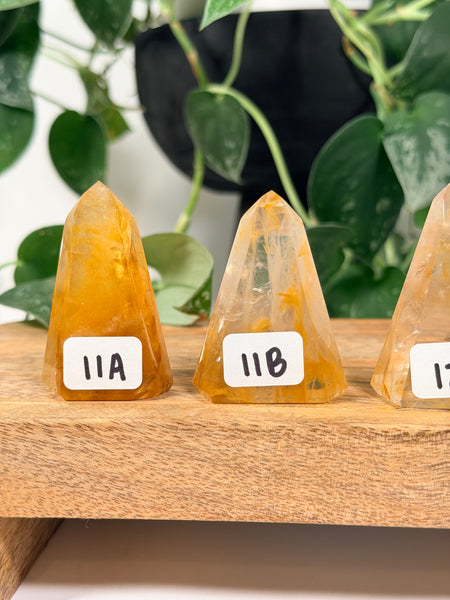 Golden Healer Towers - you pick