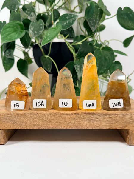 Golden Healer Towers - you pick