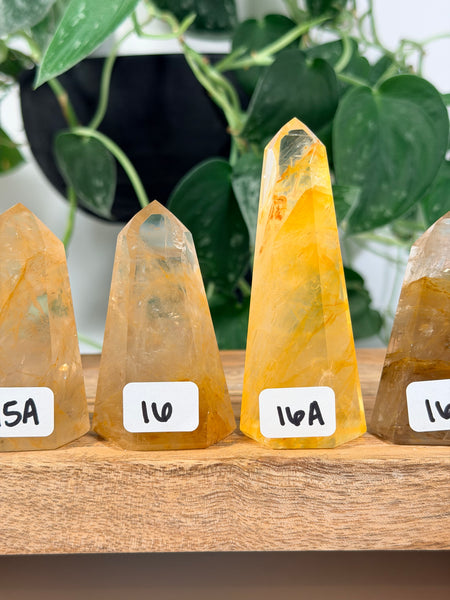 Golden Healer Towers - you pick