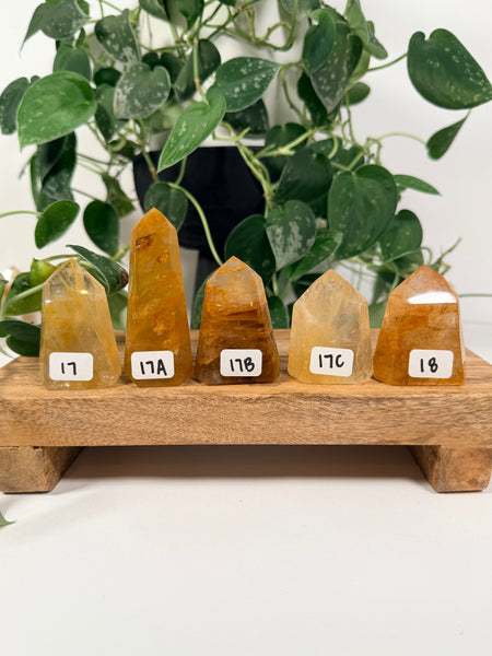 Golden Healer Towers - you pick